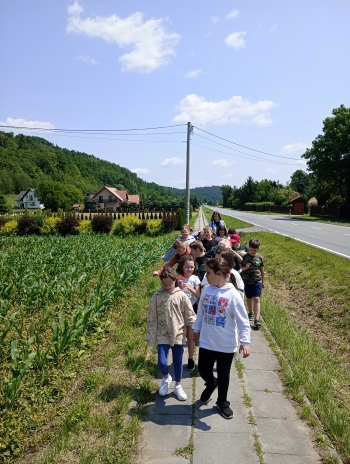 IMG_20250612_114118