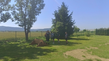 IMG20250618104351