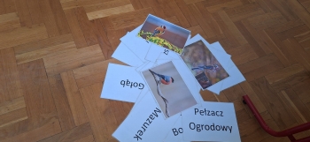 Zdjęcie WhatsApp 2025-10-21 o 21.21.16_1b97f7b5