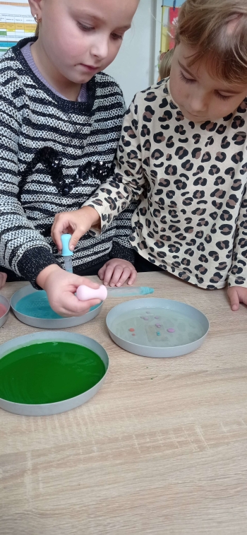 e0aa8238-21c3-46e0-ae93-6189814dd8d2