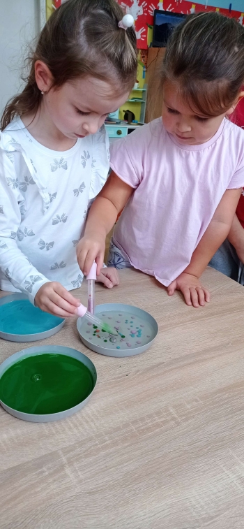 5c5d006d-bf5c-4276-8b3b-d905de15bc15