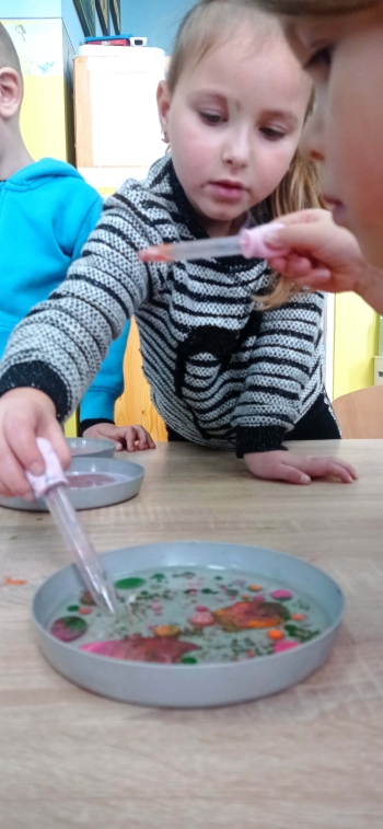 c4803419-2eff-4f9b-801d-580353dd3a5a