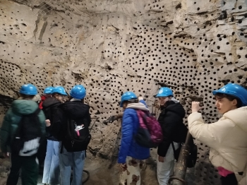 de2024c7-3c87-4682-aec9-9374ffe9efbe