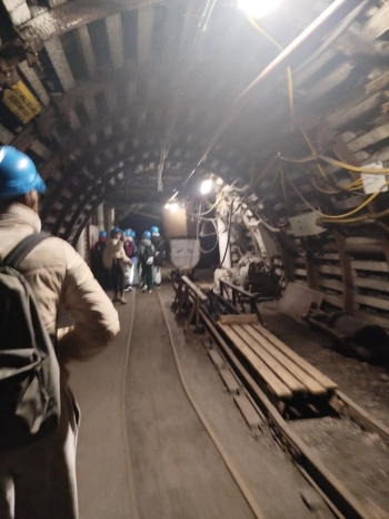 29e787c7-2829-48dd-a3e7-960fbbf72447