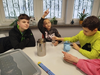 2fd38542-3c18-404b-811f-23de1bf404c7