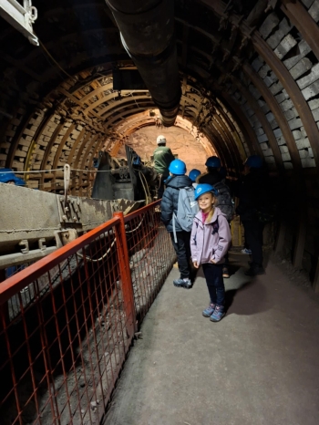 650095bd-579d-4d1d-b200-701f8c1bcb68