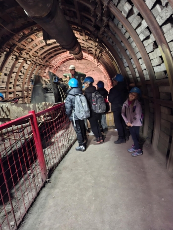 846e4782-83a3-429e-a801-80531f7760ea