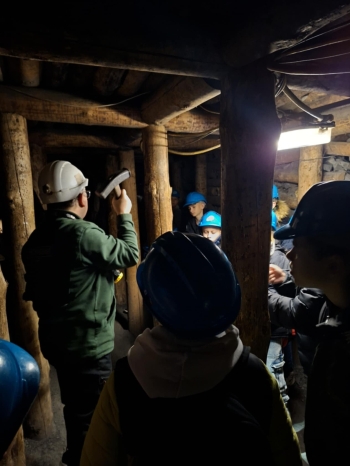 918268c6-1582-4101-a674-b34194d1af7e