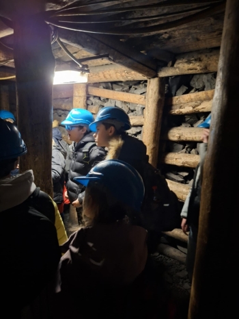 b0e0b7b3-d772-422f-83eb-092b5489e1a4