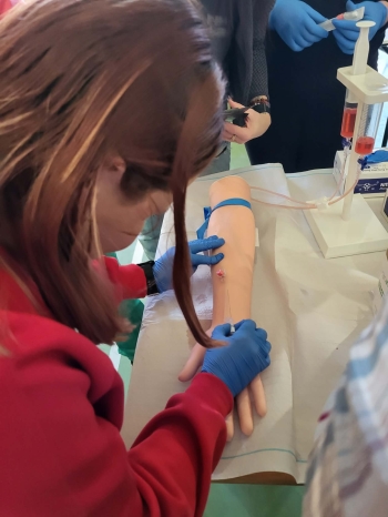 1edba8c6-1a2d-455f-b89a-5bcb6b0e6009