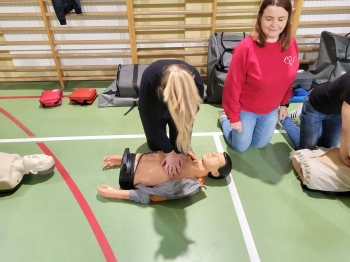 31d38488-d9ea-4b67-ae48-3db3c4df296b