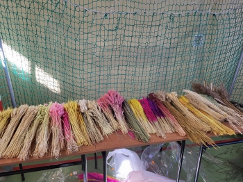 f01c6b1a-9796-4459-8a43-5d1b5872c205