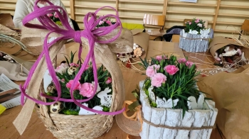 0dba73cc-1ddc-44fc-9433-22cbf10104e4