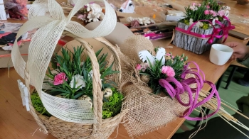 5509d4b3-cfd0-48fc-b89b-1ad0d6df9dc4