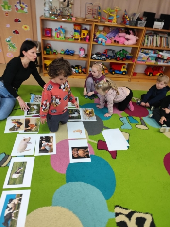 2cec8e5a-8249-48b7-abe3-2661d24e9b32