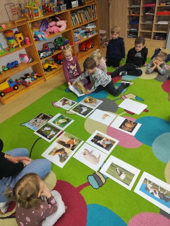 7b47fb50-48c2-4647-ab34-378afe524530