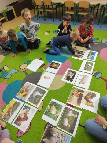 f07d101c-8b45-4791-8320-9d41d0e39c29