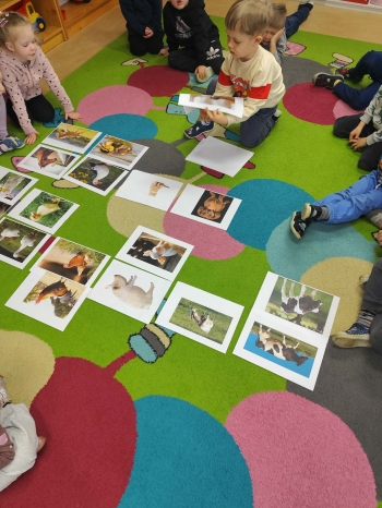 fc31a08d-1da0-43ec-b440-e2f8ffe6c03d