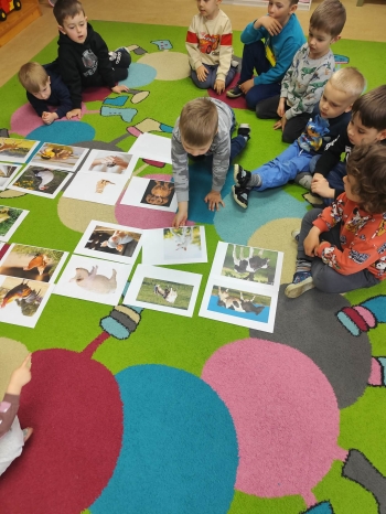 f72fbf25-014c-45da-8440-1dfc6f5de318