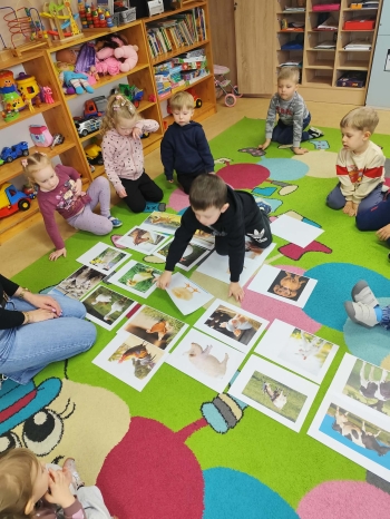 7c2d8ba4-f278-4736-b68d-551c5c1b1011