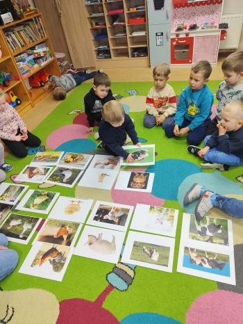 510312df-9179-4cff-8536-033ae05b3bde