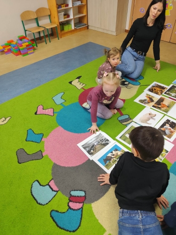 2429572b-bcf5-422e-a466-443f62f8a7e5