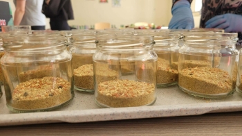 884fd34a-7741-40f0-8541-cb1ca1c77cd2