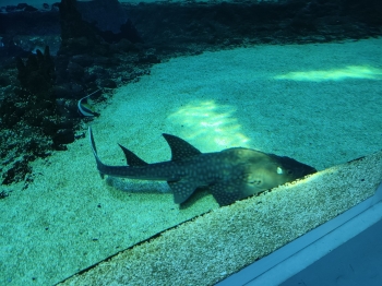 IMG_20260526_101305