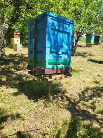 c55280ae-53b6-4ae0-af2f-a84bfcf895cc