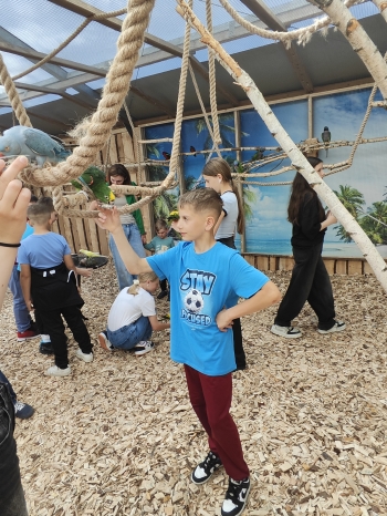 IMG_20260527_113431