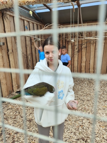 IMG_20260527_114146
