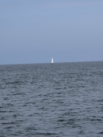 30700f71-e08b-408e-8ccb-2b3c2d5713bc
