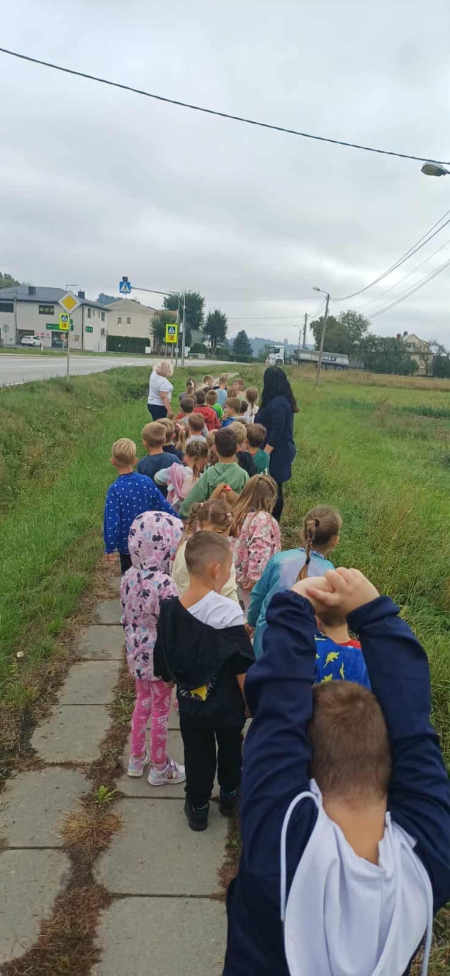 Bezpieczeństwo przedszkolaków w ruchu drogowym.