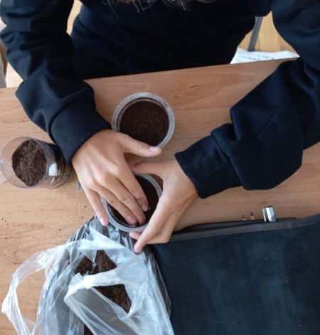 Plastyka, recykling i troska o środowisko