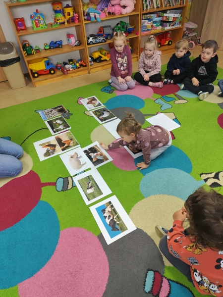 Zwierzęta z wiejskiej zagrody- zajęcia 3,4-latków 