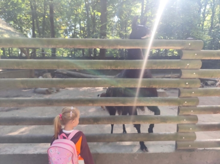 Przedszkolaki z wizytą w krakowskim ZOO